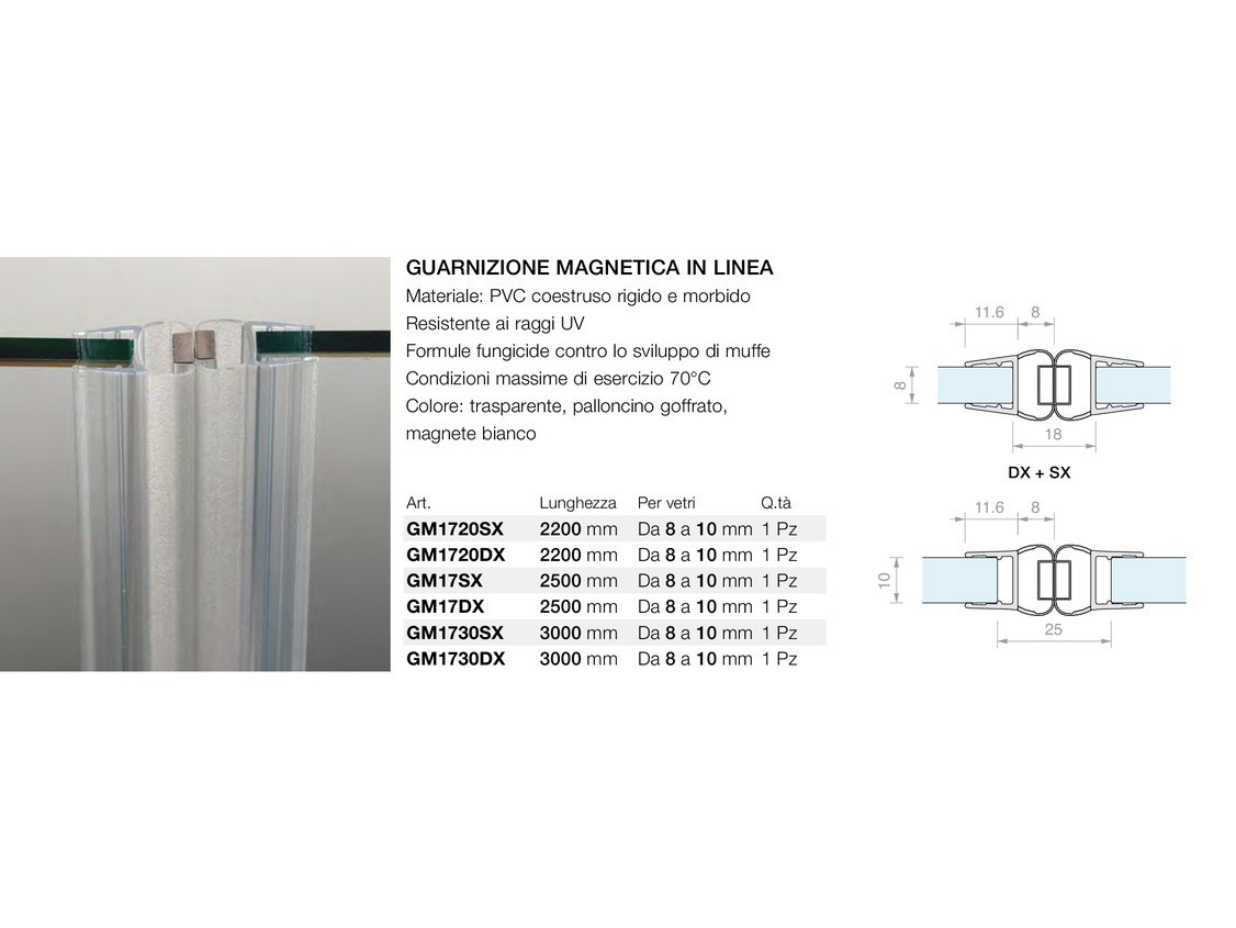 Guarnizione magnetica in linea Logli Massimo Saint Gobain